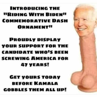 biden dash