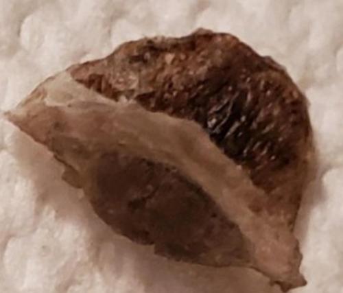 Screenshot_20210902-125220_Message+