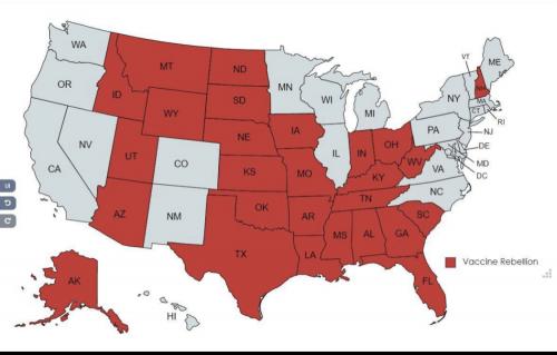 17B883FA-5163-486A-8995-5BF9F533574F