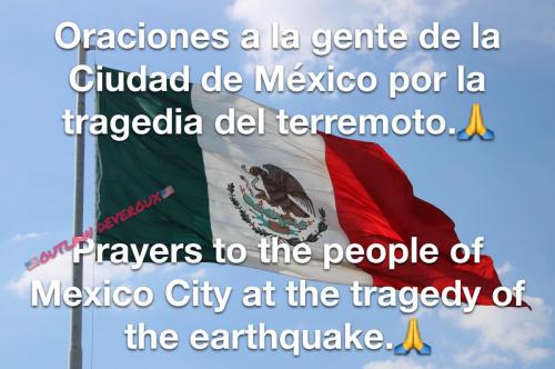 91EBCE51-FAE1-4F4C-9CC8-985E26943EA7