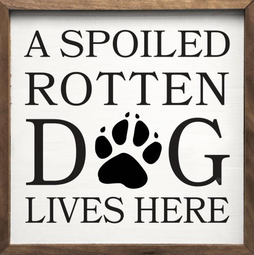 1.3-4SPOROT1616-A-Spoiled-Rotten-Dog-Lives-Here-