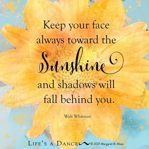 240739264_391232669029050_2946541064323011953_n