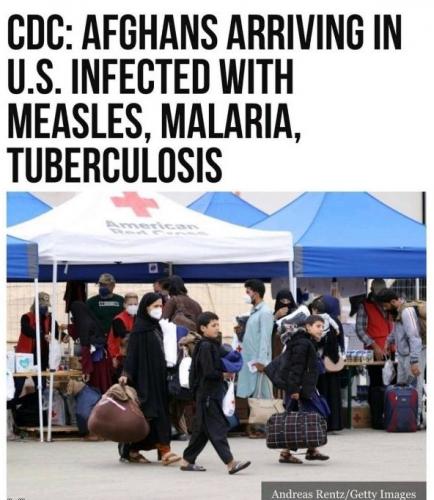 Measles, Malaria and TB