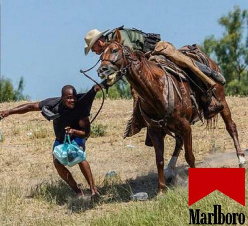 photo_2021-09-21_03-29-22