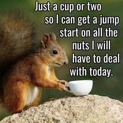dealwithnuts