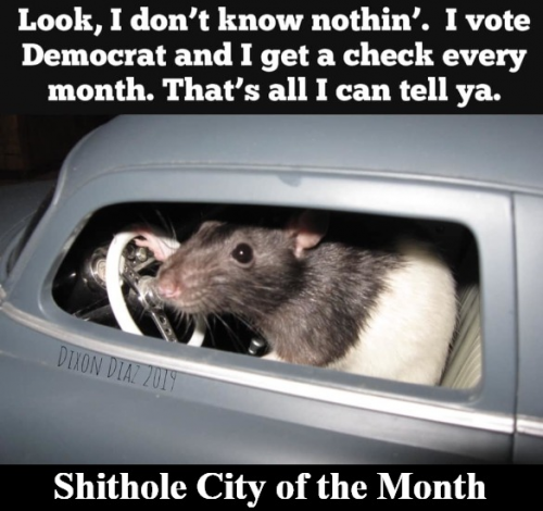 Shithole cities video cover