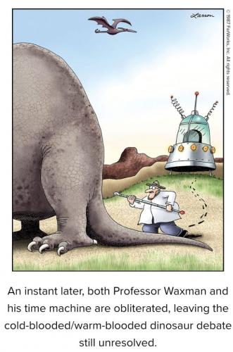 Warm and Cold Blooded Debate