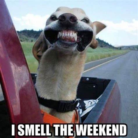 ismelltheweekend