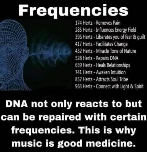 FE9365A5-64EE-47BC-A6EF-41B4C9DEA6C9