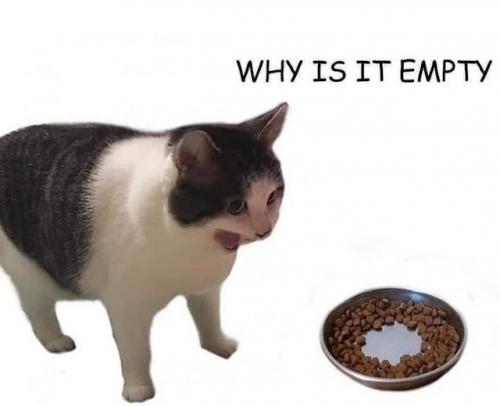 emptykitty
