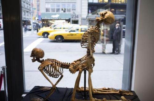 8ED570EE-7B78-4000-98E3-D1CE4DD4758D_1_105_c