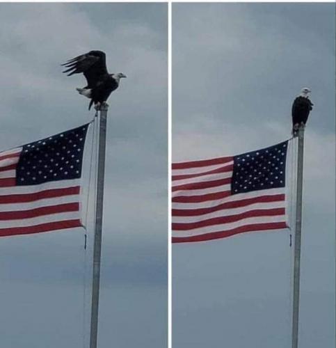 199716254_4293341524020029_1117212964411873603_n