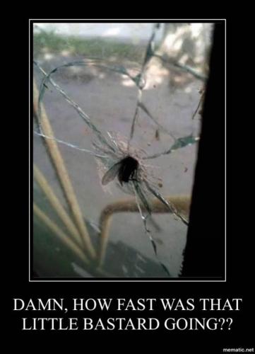 C438F846-E654-4E29-8FC2-A6191B34B0D3