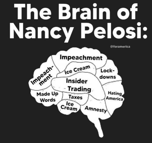 pelosi brain