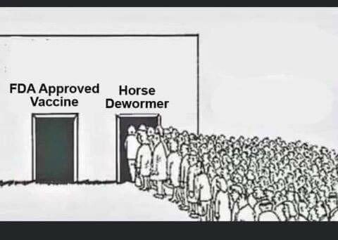 safechoice