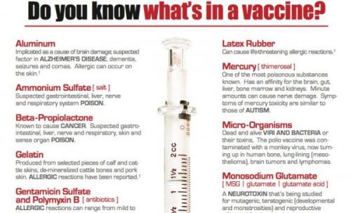what-is-in-vaccines-e1566013766480