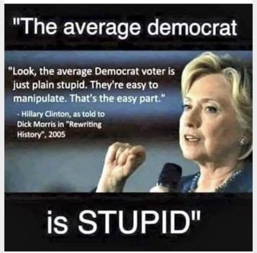 stupid