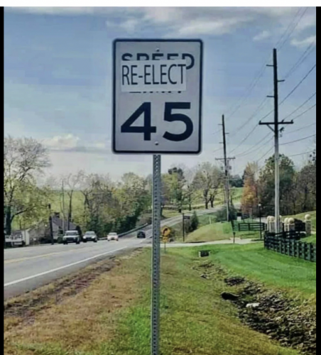 Reelect 45