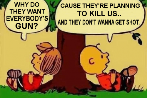 WHY DO THEY WANT EVERYBODIES GUNS