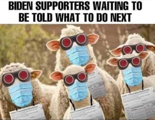 ec4fe30b0c91bd6df8693b84c49f9142_500x0