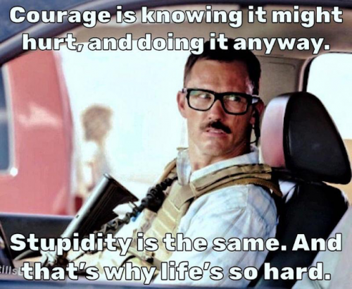 Meme - courage vs stupidity