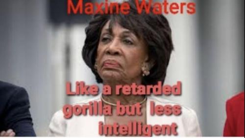 D9FA7231-40F9-4481-B5E4-282303F13C77