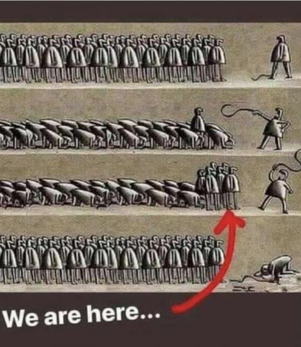 standup