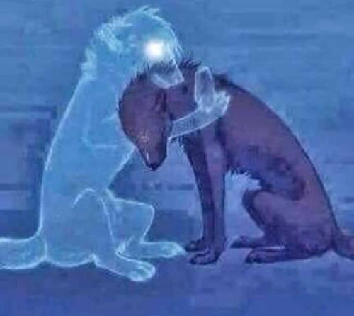 141572832_10221271496511131_6411340367366628963_n