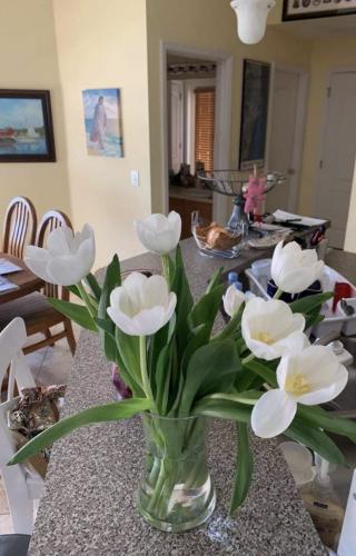 FAEF0B11-F48E-4F8A-82EA-B3D8CE1CFAD2