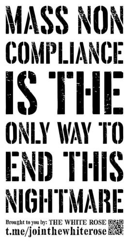 photo_2021-09-05_18-54-47