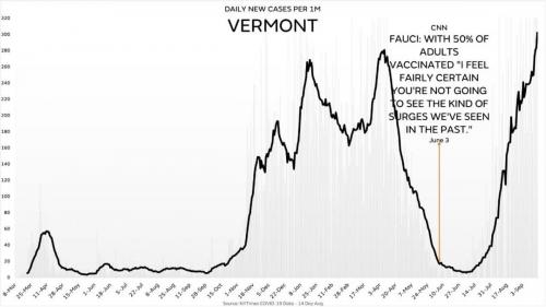 VermontCases1