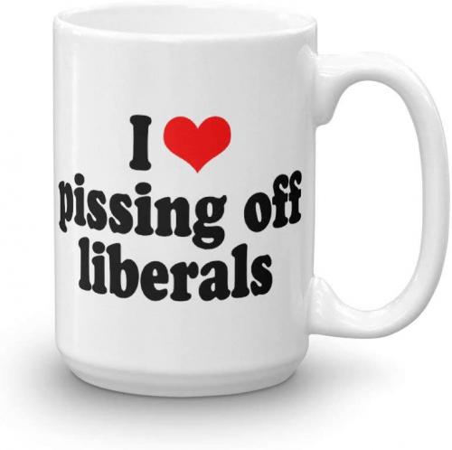 511eVpZIJlL._AC_SL1000_