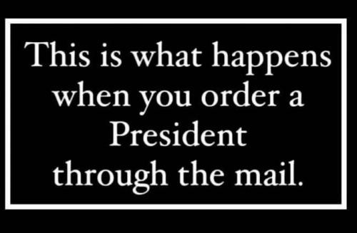 413D06A1-B28A-43CE-8C32-95E13A9D72C1