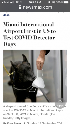 1A38533B-9B93-4291-9F78-BC17C40EC668