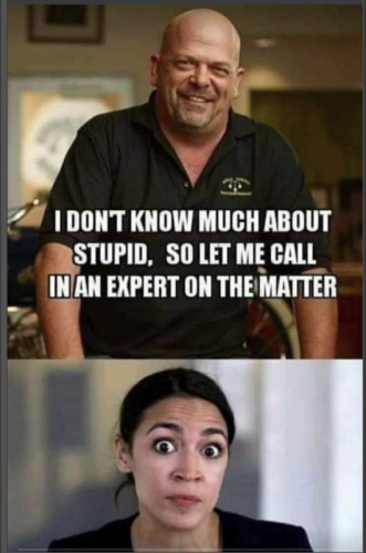 much about stupid