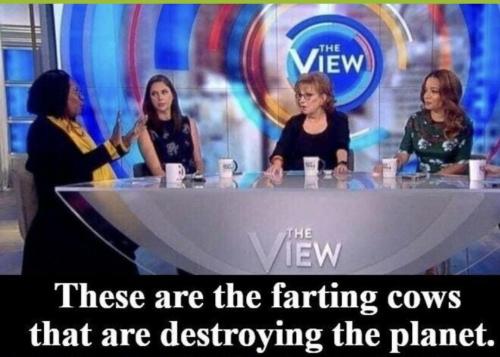 fart