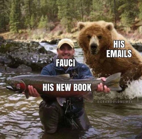 89D0648D-3FAE-45DE-81CF-E0A6E1D28901