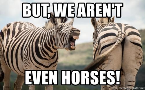 but-we-arent-even-horses