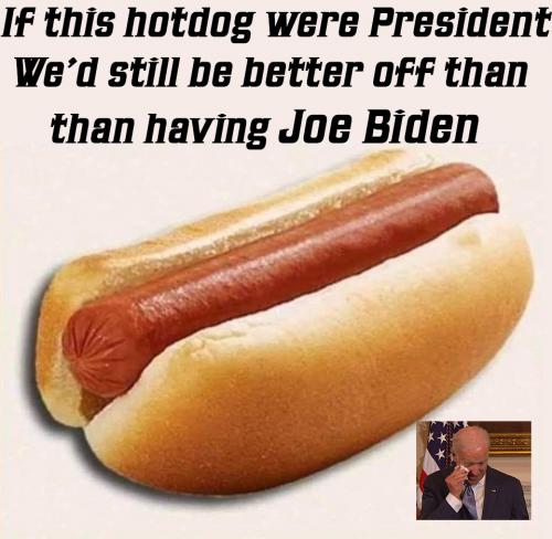 156431287_240832284214011_7370761088974420371_n