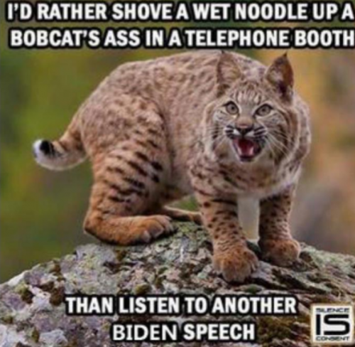 E2955719-9248-4054-B5F6-B1FA53088750