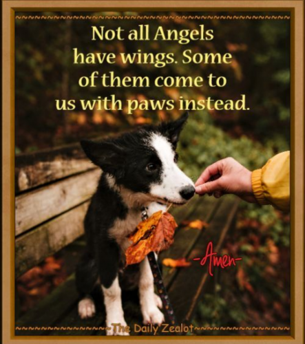 Screenshot_20210921-152121