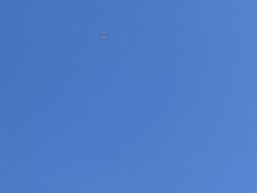 8E3A9F61-E93D-406E-8870-2A0C92519E3D