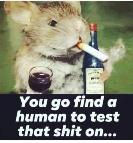 photo_2021-09-17_18-42-01