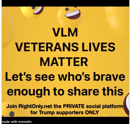VLM