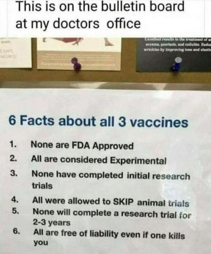 a6e95187b0b5eaf2ba2b430fdc0f6834_500x0