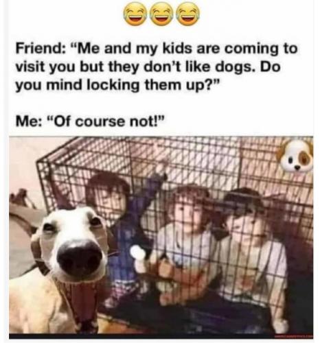kidcage