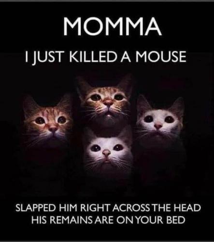 Momma
