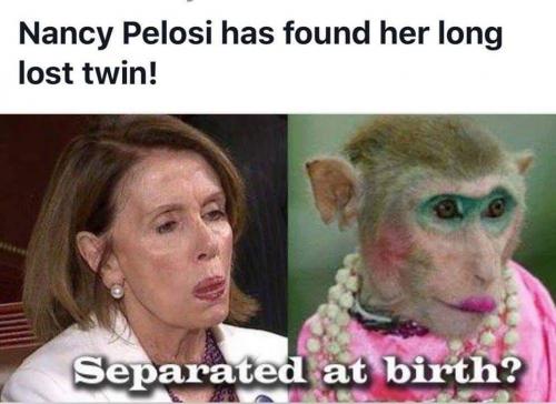 pelosi