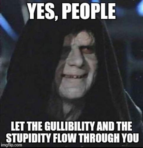 Stupidity