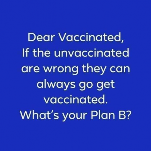 what is plan b